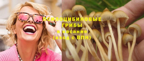 гидропоника Алексин